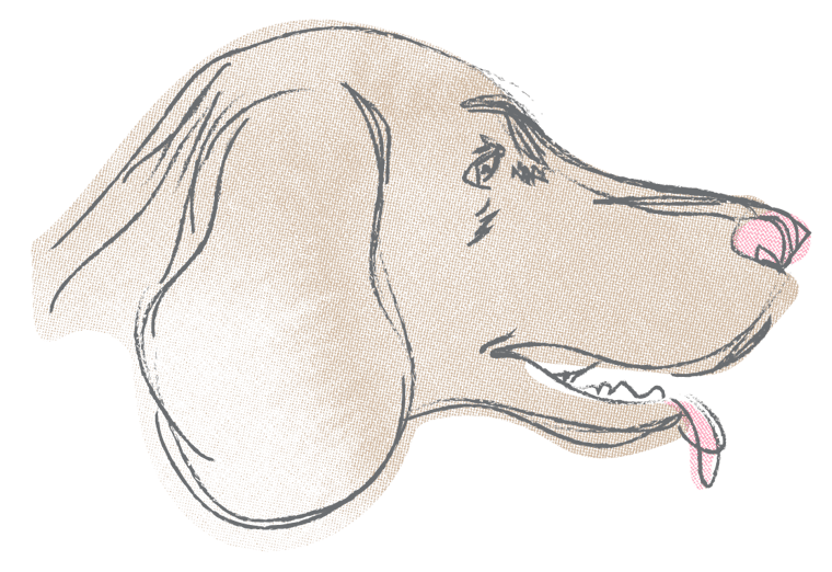 A sketch of Whiskey the dog