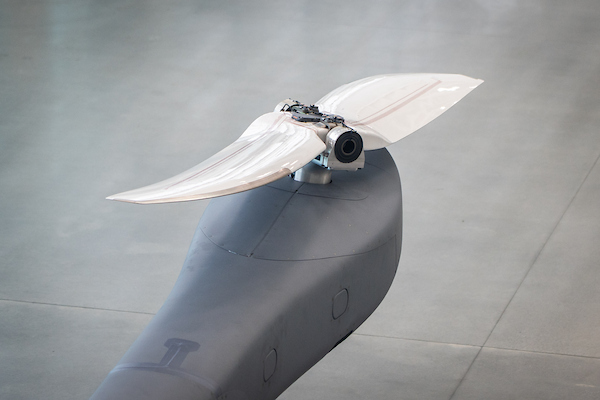 A250 First Hover 20250818_0003
